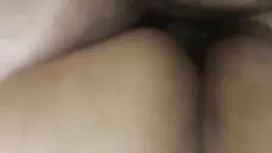 ভ্যানেসা আর মেটাল হি ...