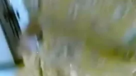 স্বামী ও ইন্ডিয়ান স ...