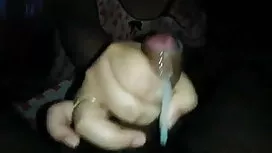 কিটি-বিড়াল! সেক্সি  ...